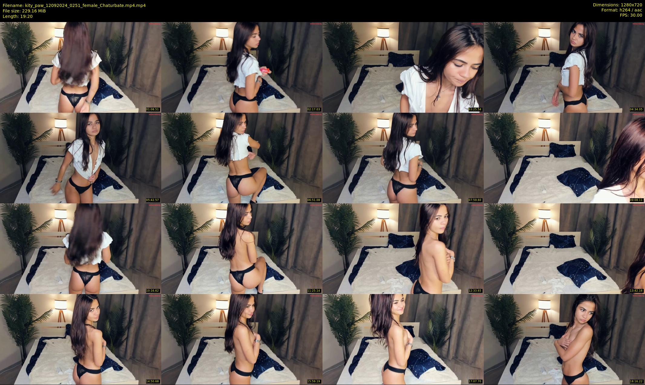 kity_paw — Chaturbate Female cam show, Sep 11, 2024