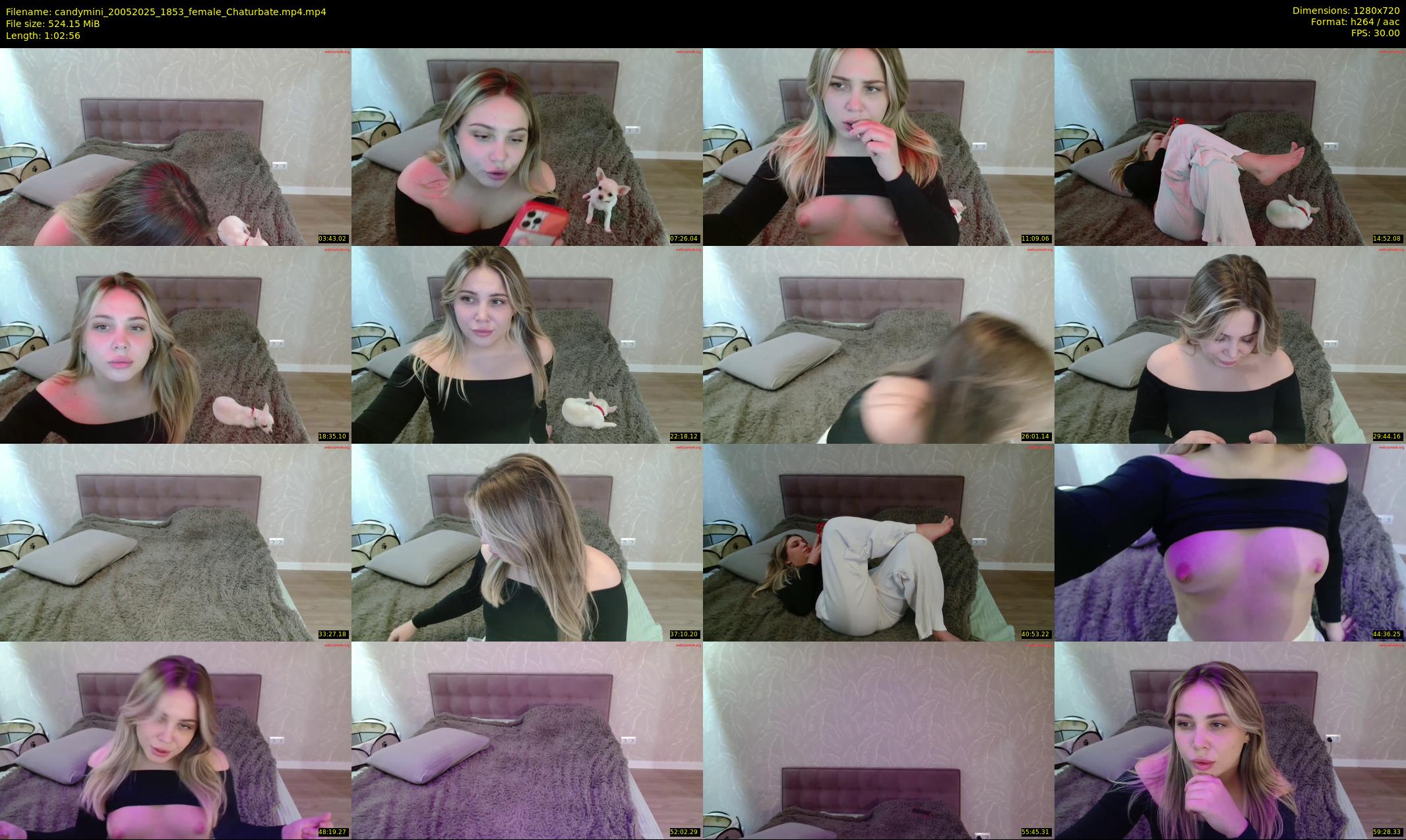 candymini — Chaturbate Female cam show, May 20, 2025