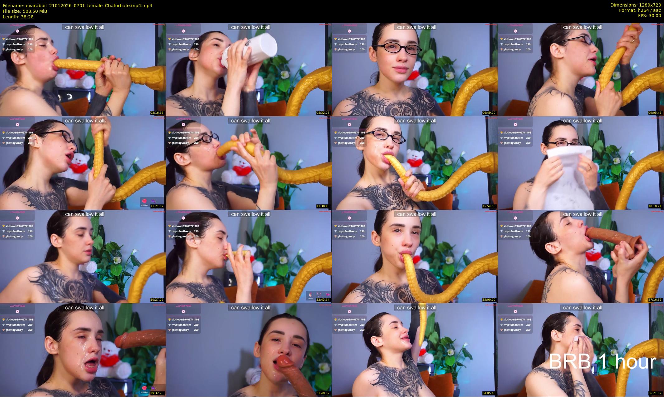 evarabbit — Chaturbate Female cam show, Jan 21, 2026