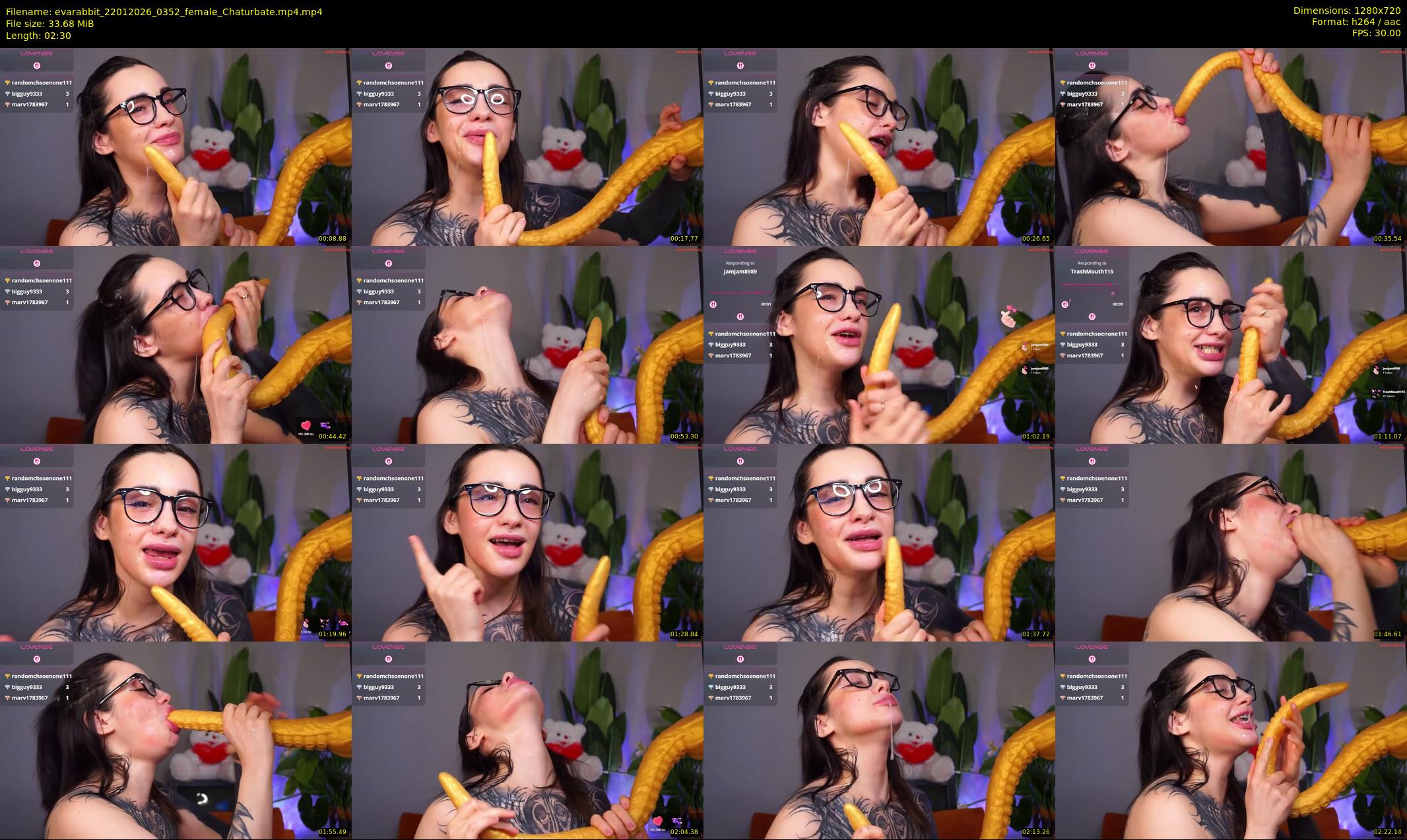 evarabbit — Chaturbate Female cam show, Jan 21, 2026