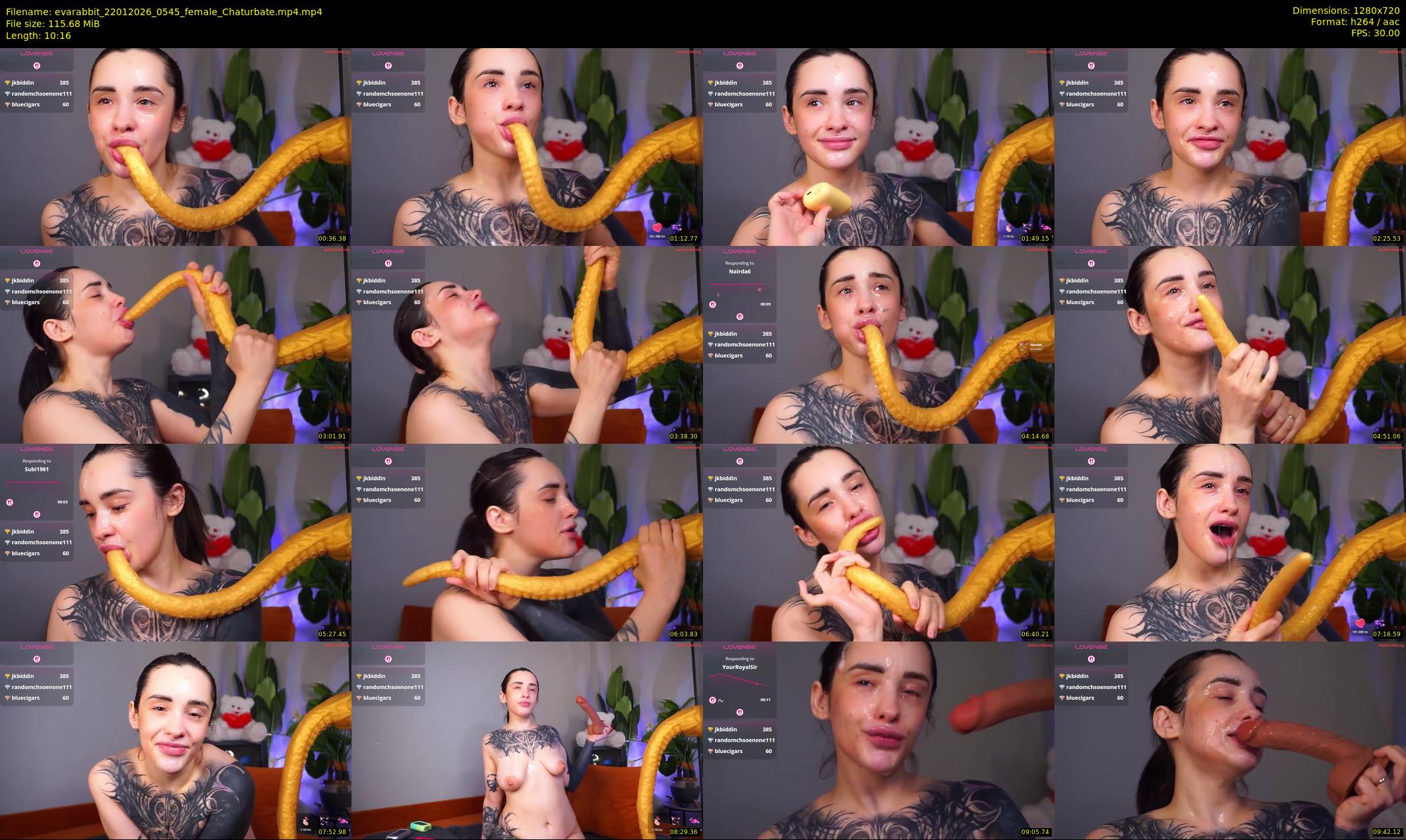 evarabbit — Chaturbate Female cam show, Jan 21, 2026