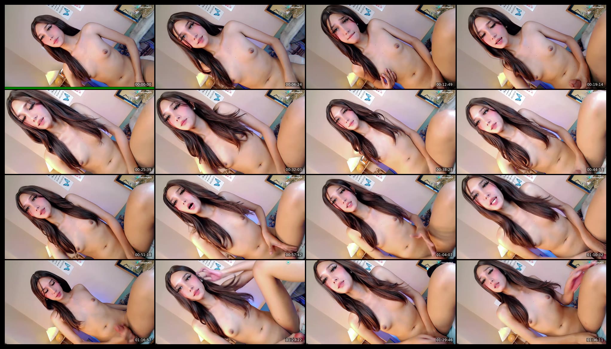 midnightseduction28 — Chaturbate Trans cam show, Aug 19, 2026